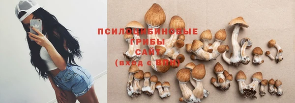 твердый Алексин