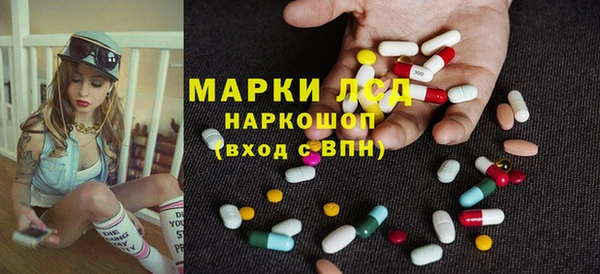 стафф Алзамай