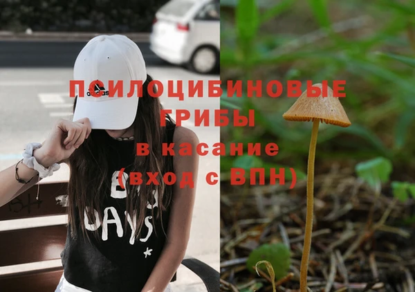 стафф Алзамай