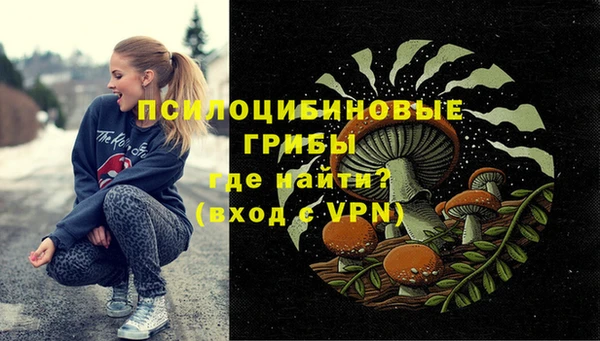стафф Армянск
