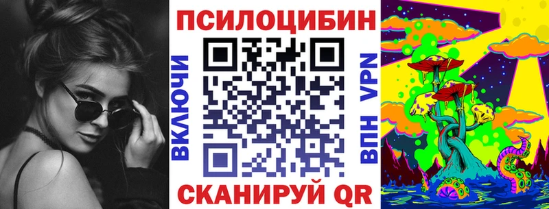 дарнет шоп  Новоульяновск  Псилоцибиновые грибы Psilocybe 